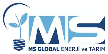 MS GLOBAL ENERJİ